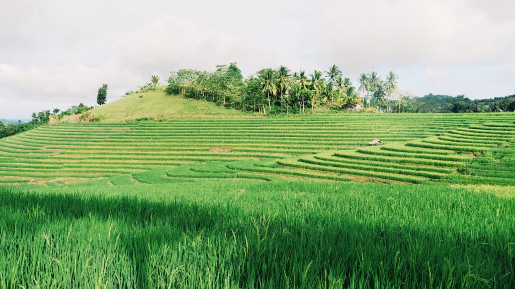 Voyager aux Philippines en famille