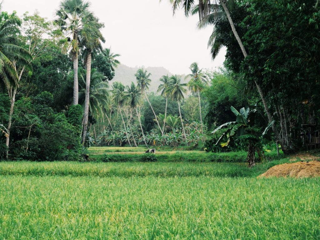 Voyager aux Philippines en famille
