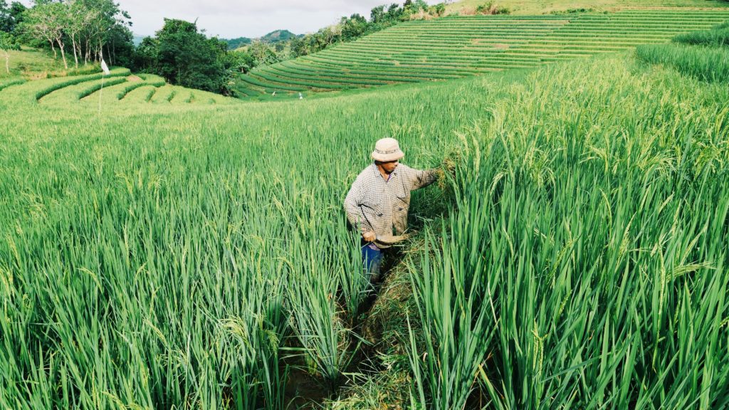 Voyager aux Philippines en famille