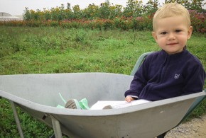 La libre cueillette de fruits et légumes avec les enfants