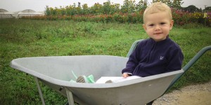 La libre cueillette de fruits et légumes avec les enfants