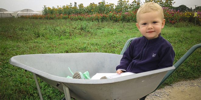 La libre cueillette de fruits et légumes avec les enfants