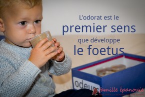 L'odorat est le premier sens que développe le foetus