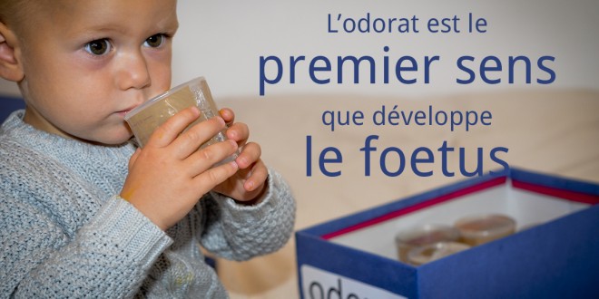 L'odorat est le premier sens que développe le foetus