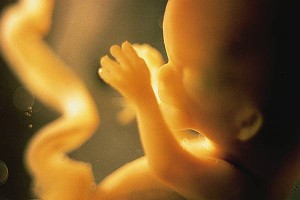 3 mois de grossesse, le foetus a 12 semaine