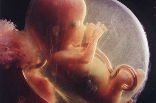 Bébé dans le ventre de maman à 4 mois de grossesse