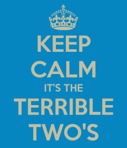 keep calm its the terrible two