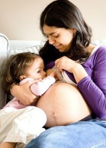 allaitement et grossesse