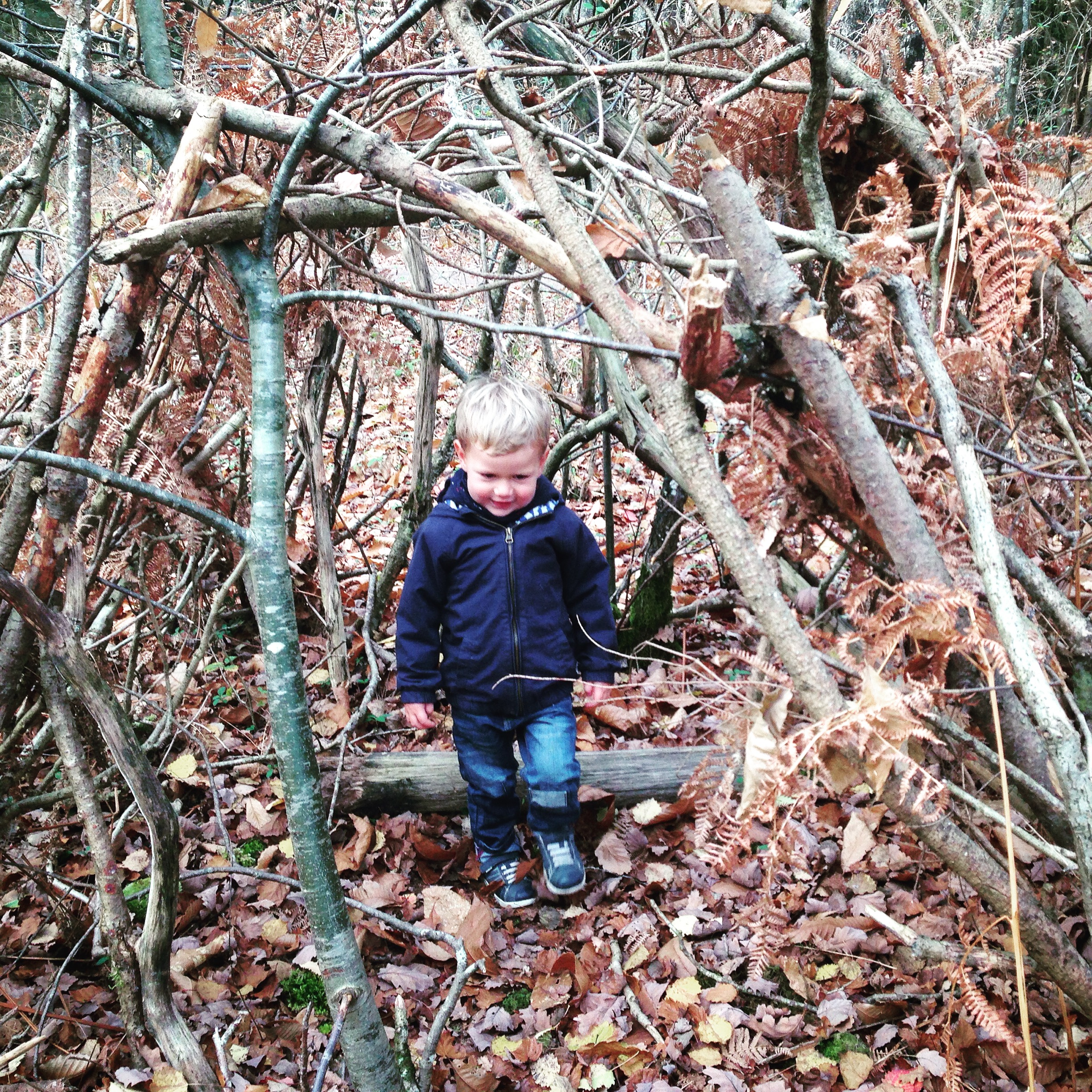 enfant en forêt