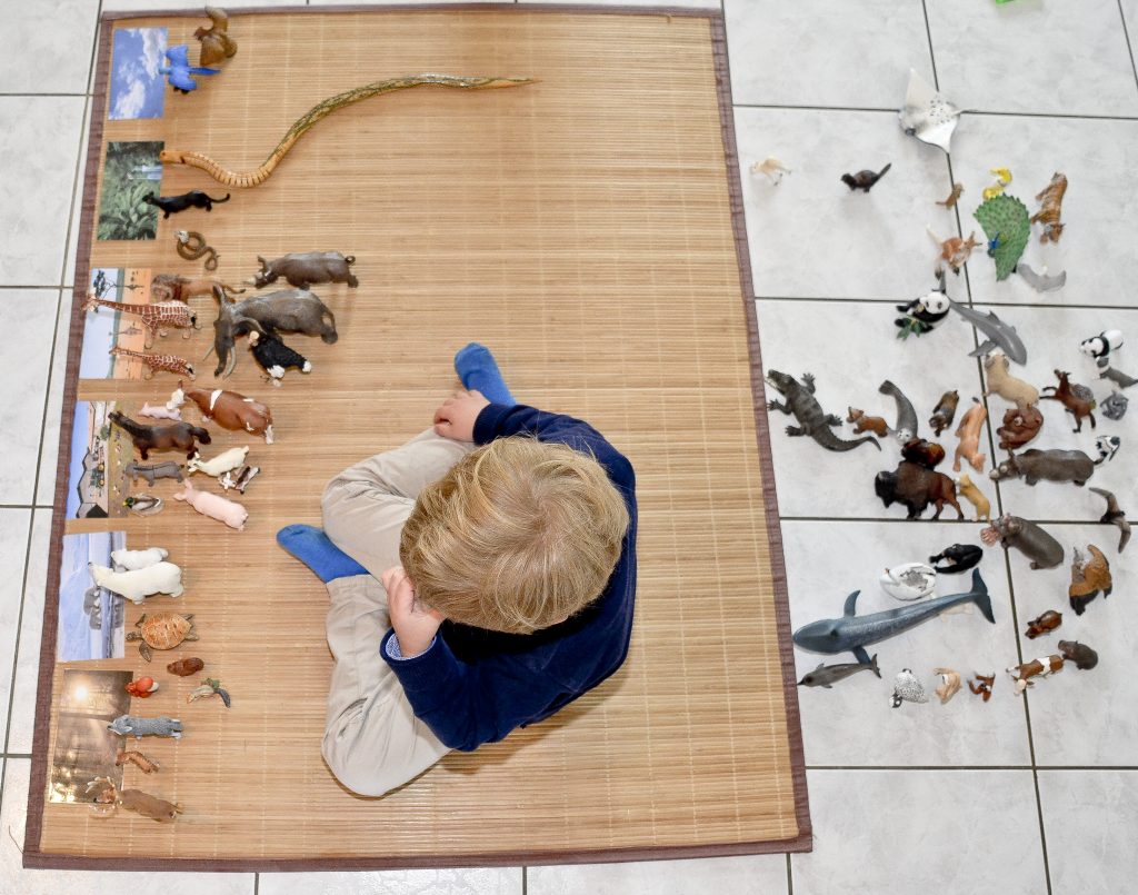 enfant-joue-animaux-schleich