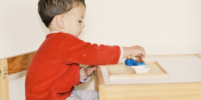 Idées cadeaux pour l'enfant de 2 à a 3 ans. Nourrir son développement.