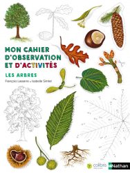 mon-cahier-d-observation-les-arbres