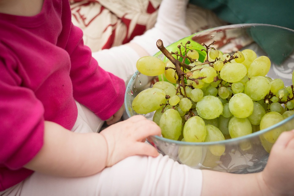 Besoins nutritionnels et allaitement maternel