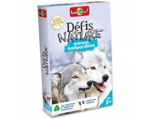 Défis nature de Bioviva. Idées de jeux de société pour enfants de 7 ans